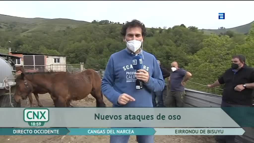 Oviedo celebra el Martes de Campo (Martes, 25-05-2021)