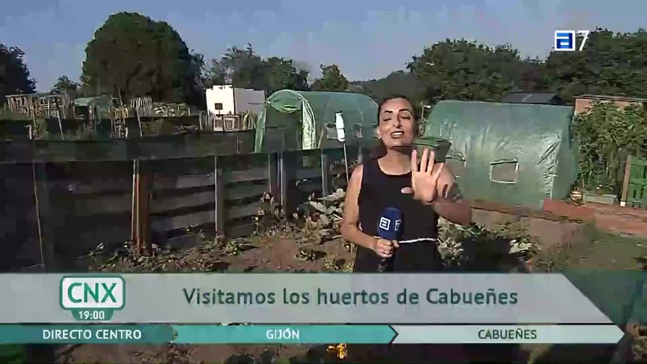 Paracaidistas veteranos (Martes, 09-08-2022)