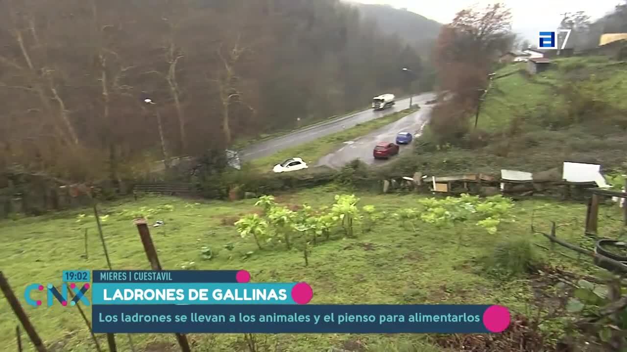 Pellets en la costa de Asturias (Miércoles, 10-01-2024)