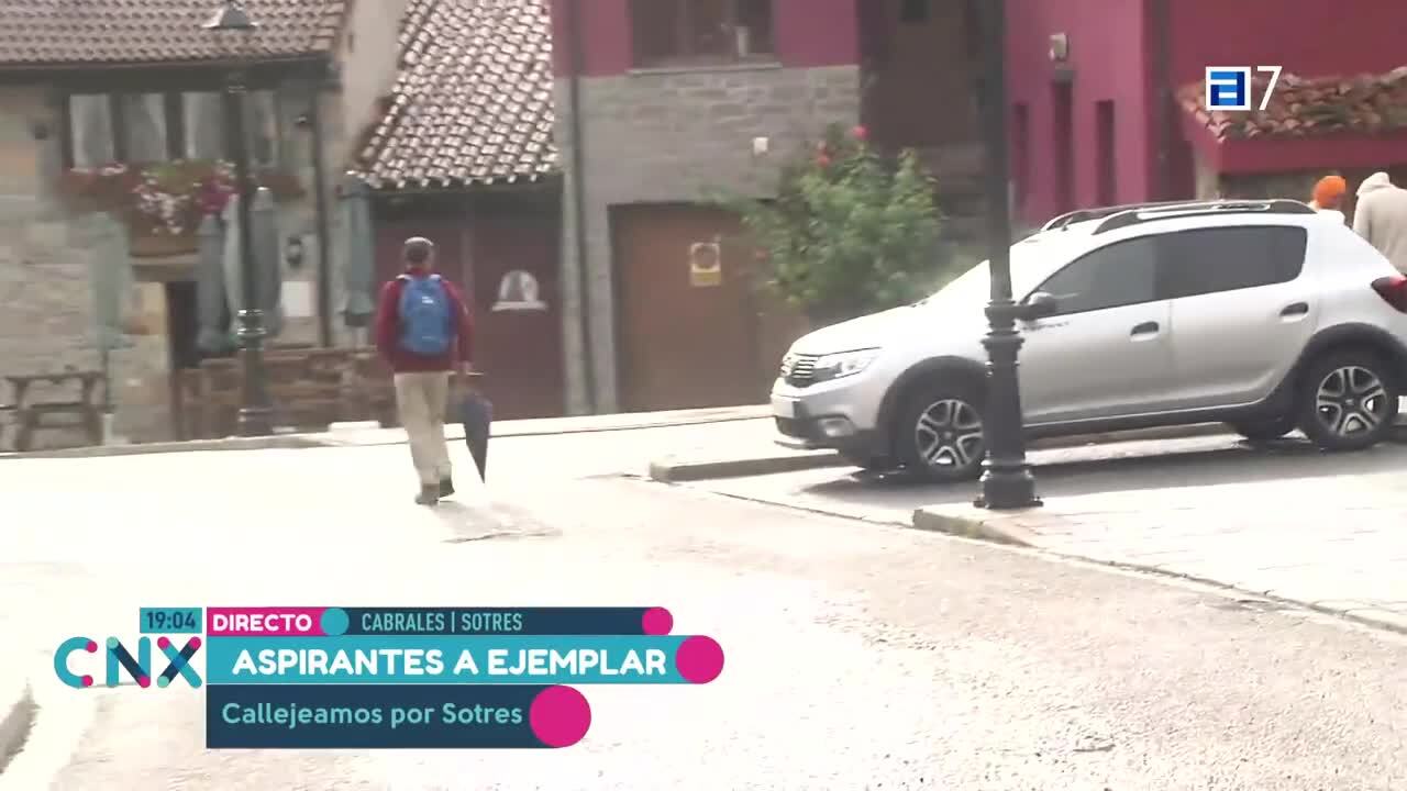 Proteger a las mascotas en verano (Martes, 29-08-2023)