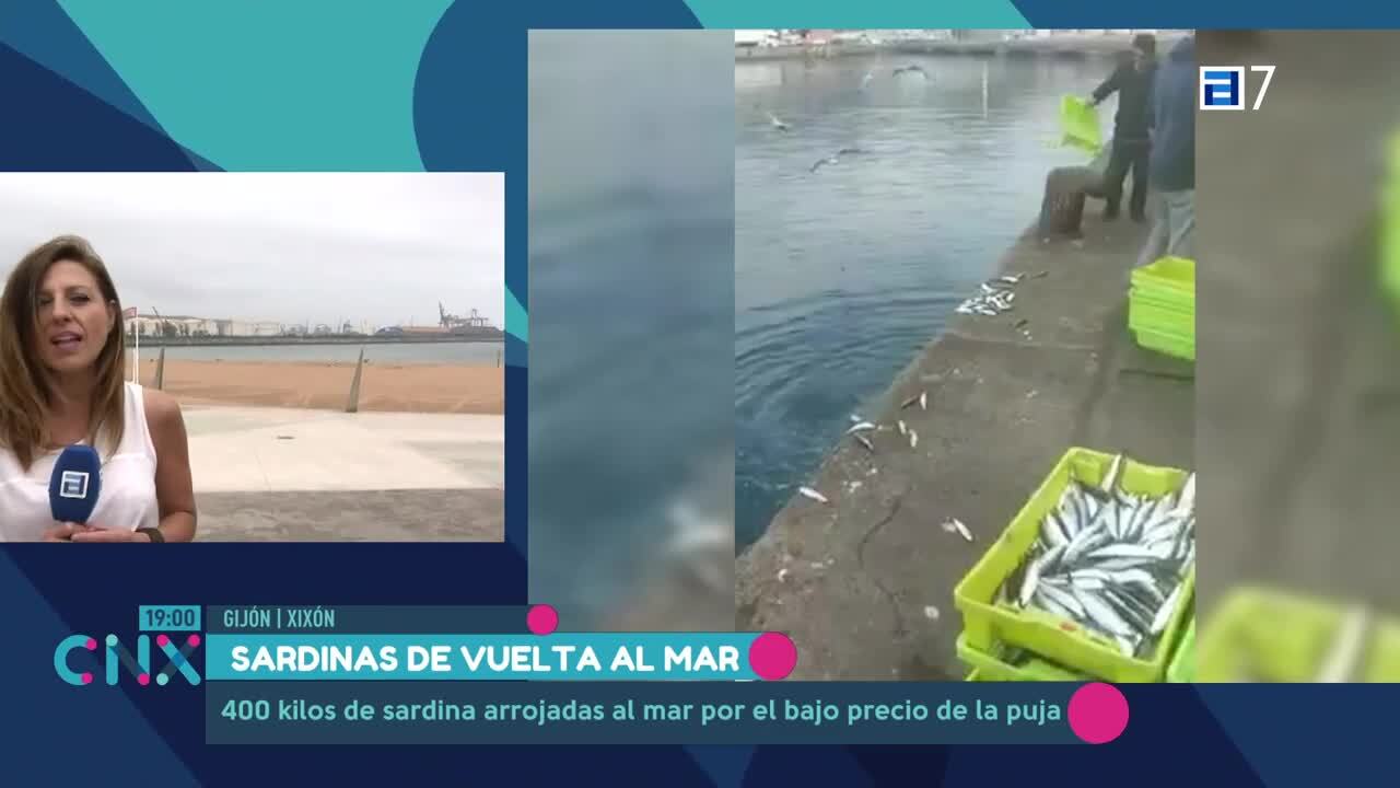 Sardinas de vuelta al mar (Jueves, 08-06-2023)