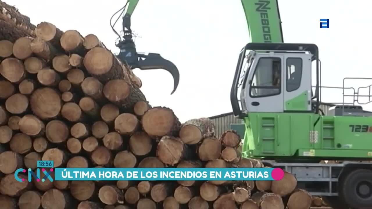 Subastado el campanu del Narcea (Miércoles, 12-04-2023)