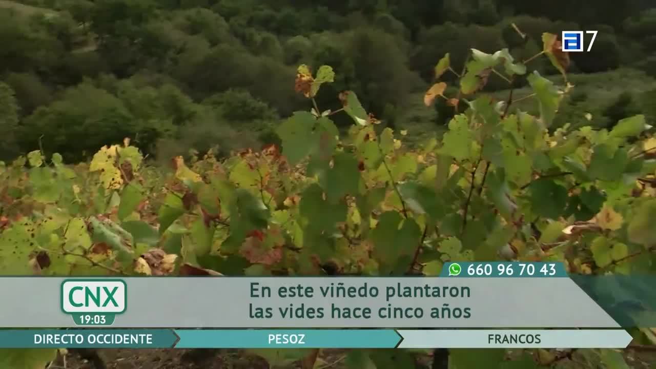 Tarde de esgrima antigua (Jueves, 13-10-2022)