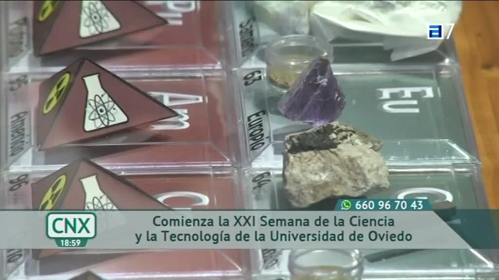 Tiempo de castañas (Lunes, 08-11-2021)