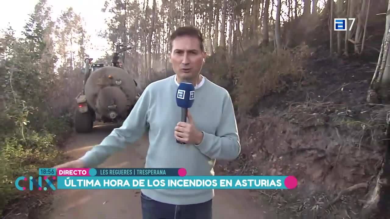 Un taxi para mi perro (Lunes, 10-04-2023)