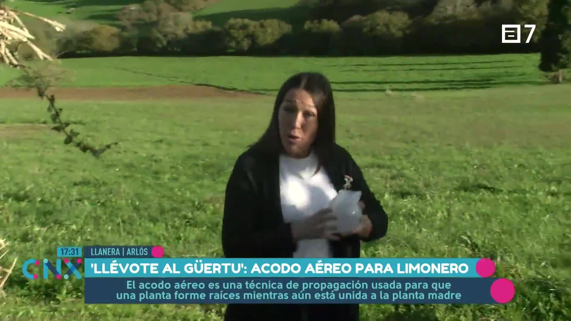 (Viernes, 06-12-2024)