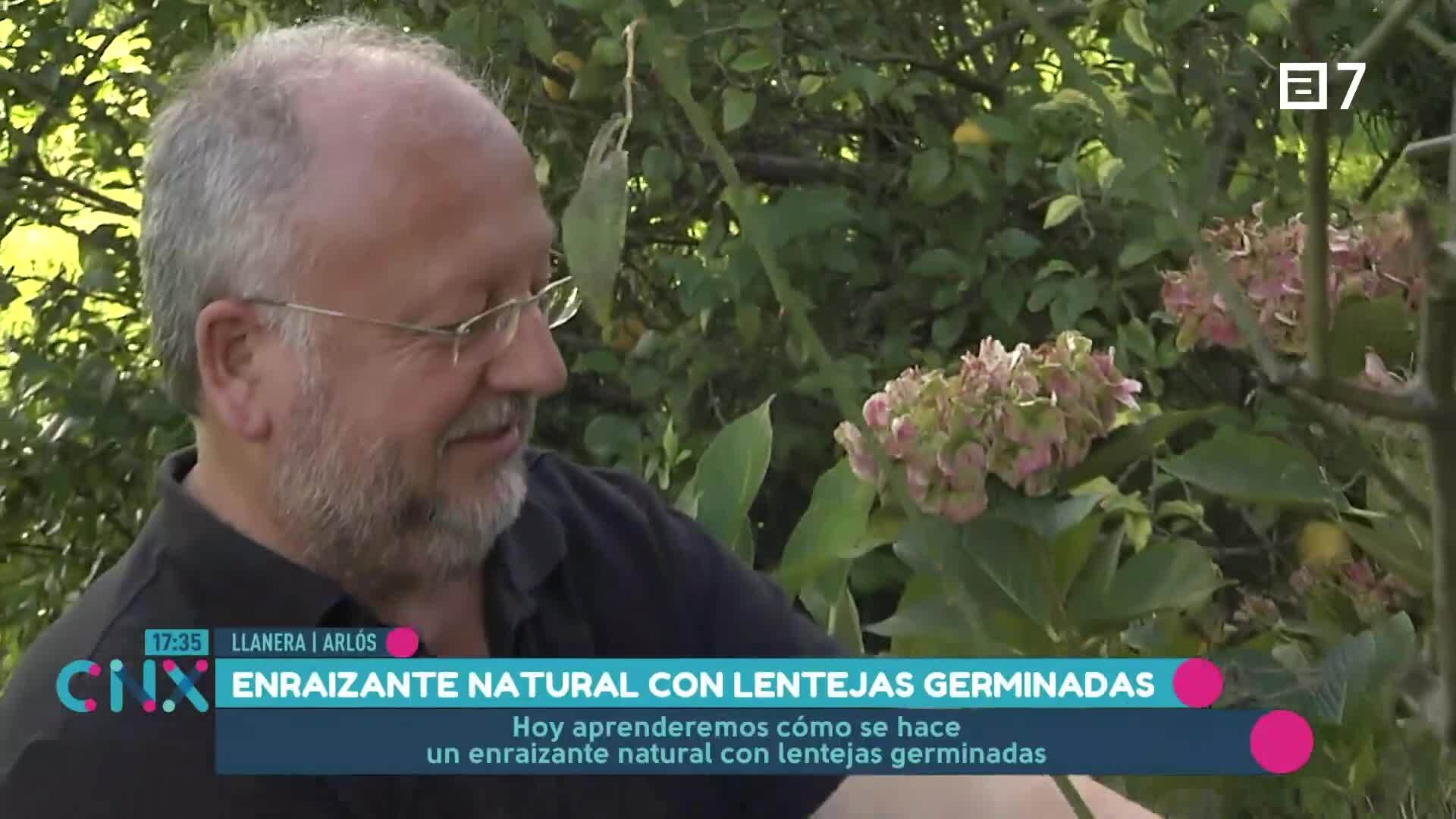 (Viernes, 08-11-2024)