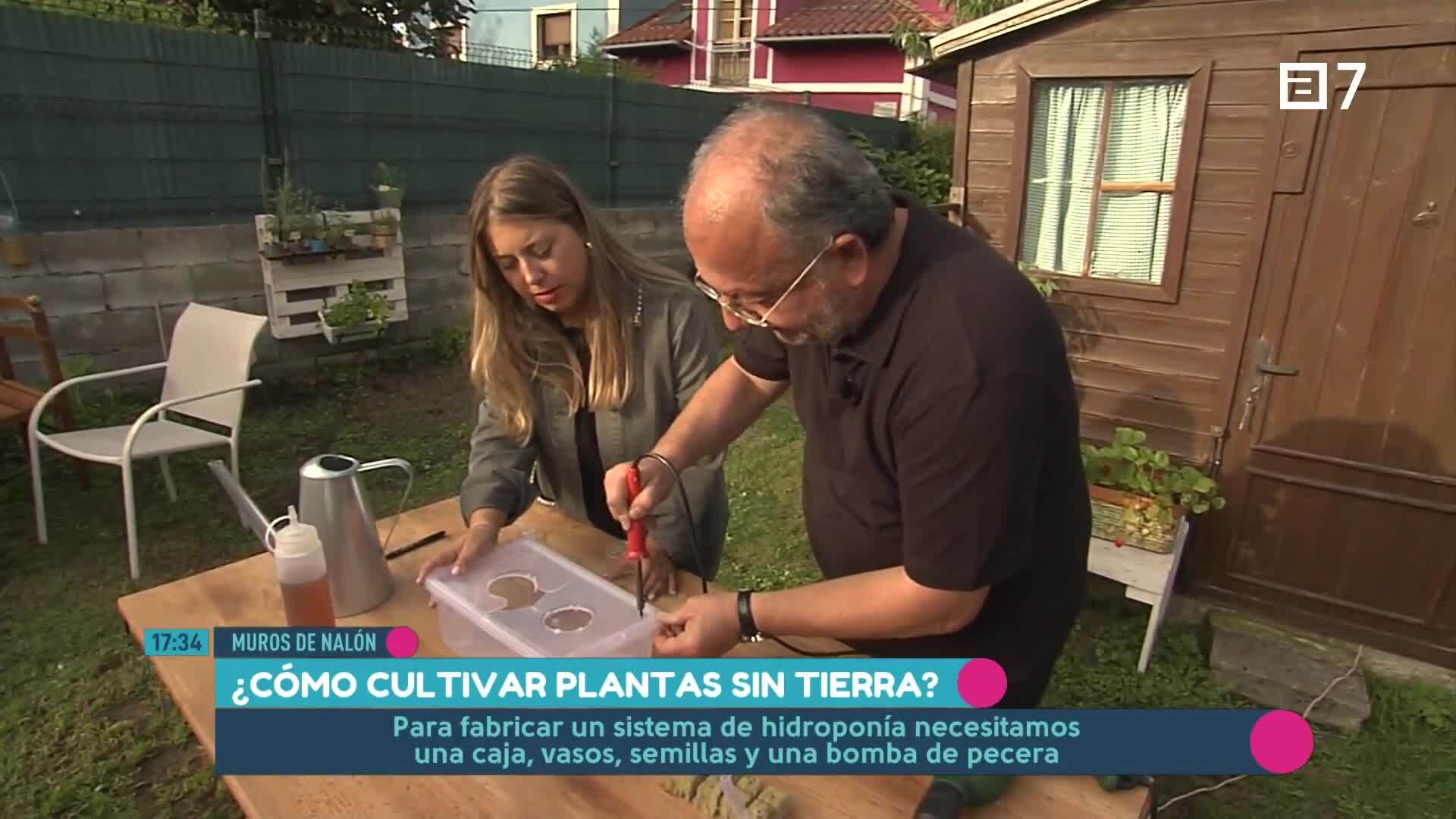 (Viernes, 11-10-2024)
