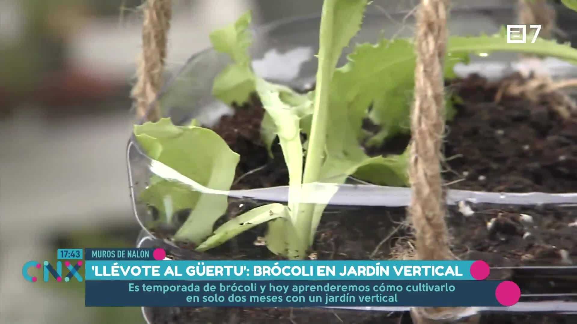 (Viernes, 18-10-2024)