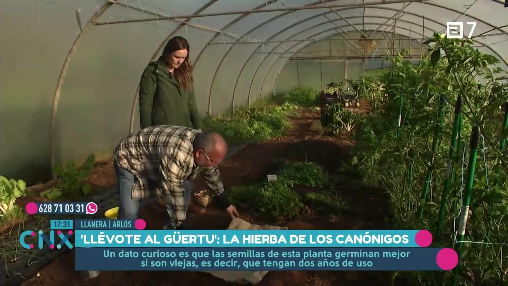 (Viernes, 20-12-2024)