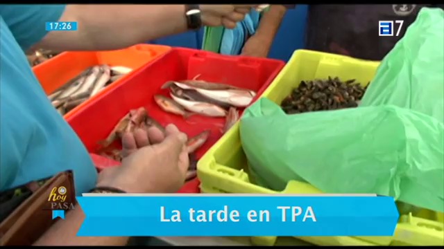 (Jueves, 30-07-2015)