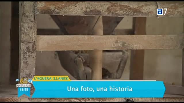 (Martes, 04-07-2017)