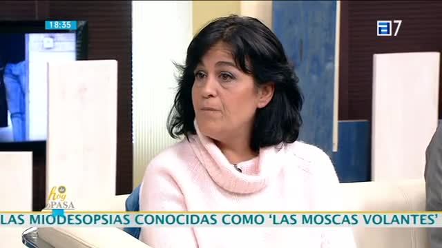 (Martes, 29-11-2016)