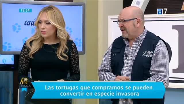(Miércoles, 01-02-2017)