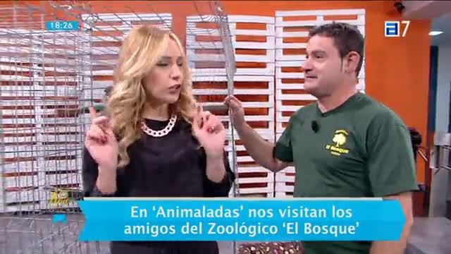 (Miércoles, 02-11-2016)