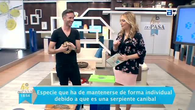 (Miércoles, 08-03-2017)