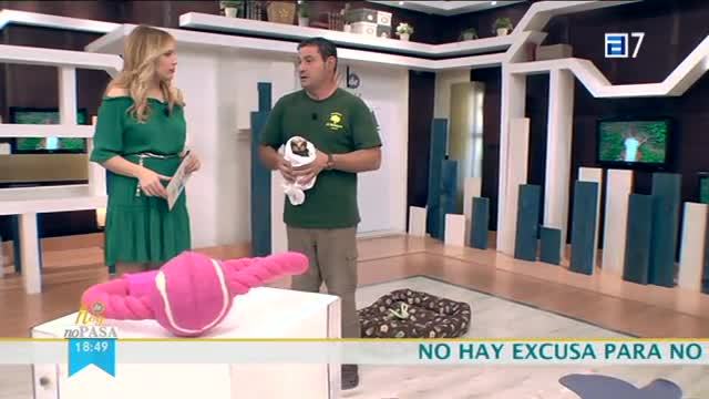 (Miércoles, 12-04-2017)