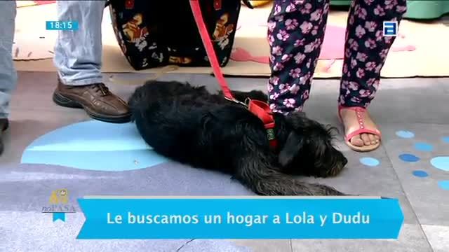 (Miércoles, 13-07-2016)