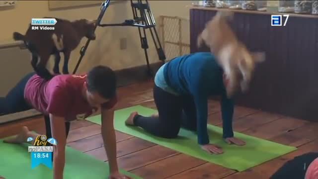 (Miércoles, 19-07-2017)