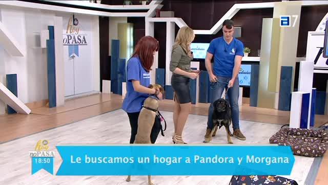 (Miércoles, 22-03-2017)