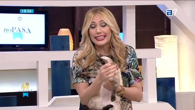 (Miércoles, 25-01-2017)