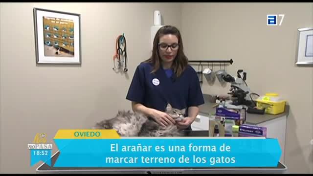 (Miércoles, 29-03-2017)