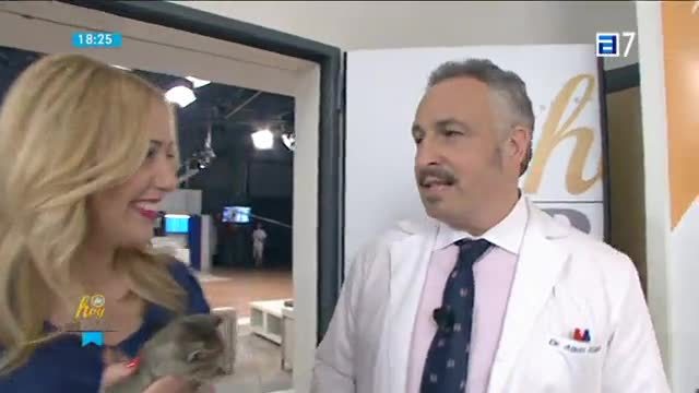 (Miércoles, 29-06-2016)