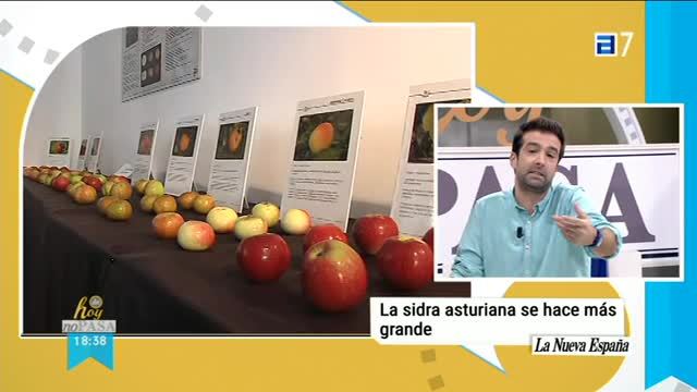 (Viernes, 13-10-2017)