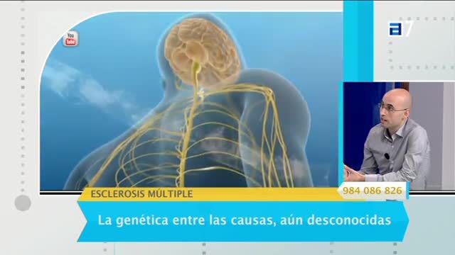 (Viernes, 27-05-2016)