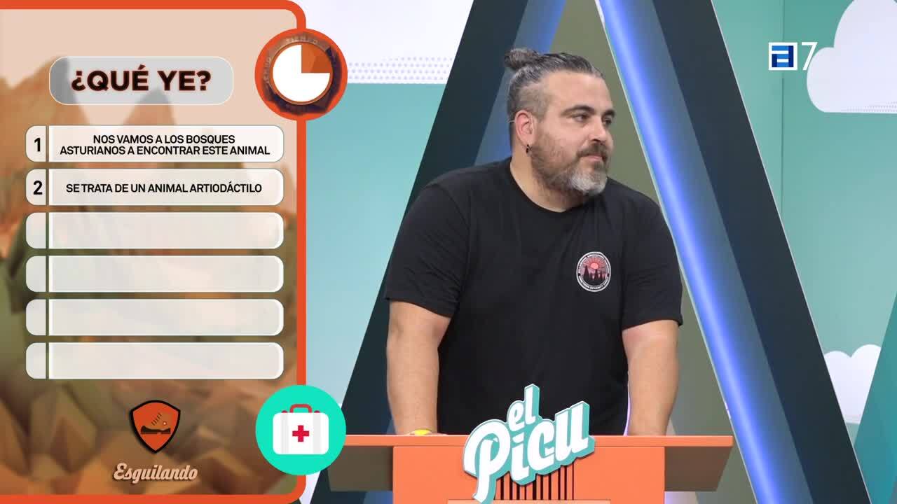 T.8 Cap. 208 (Jueves, 23-11-2023)