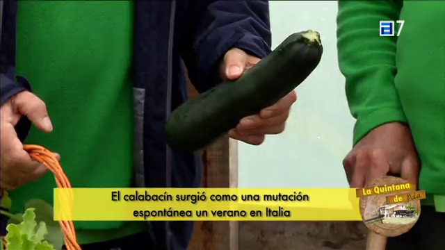 (Jueves, 11-06-2015)