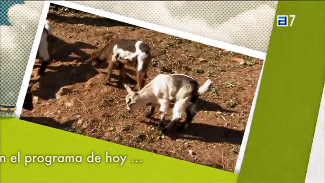 (Martes, 28-01-2014)