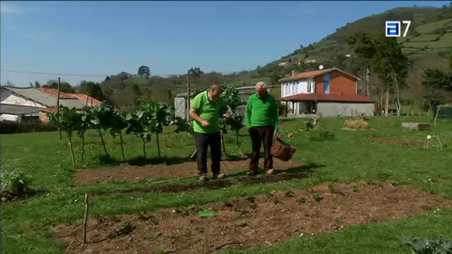 (Miércoles, 08-04-2015)