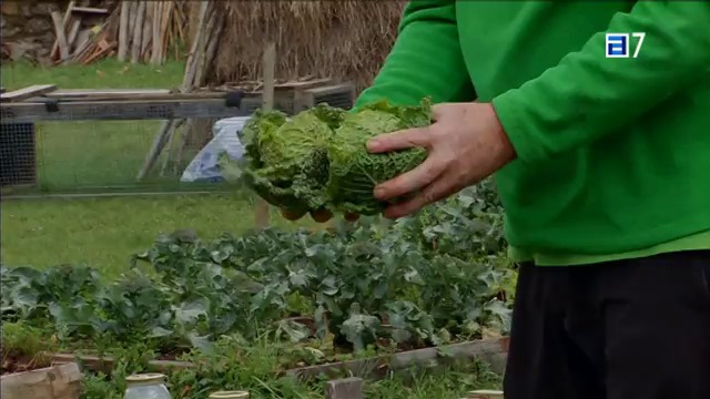 (Miércoles, 18-03-2015)