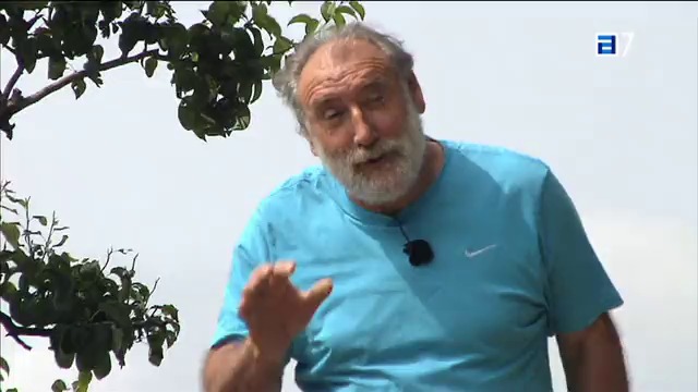 (Miércoles, 25-09-2013)