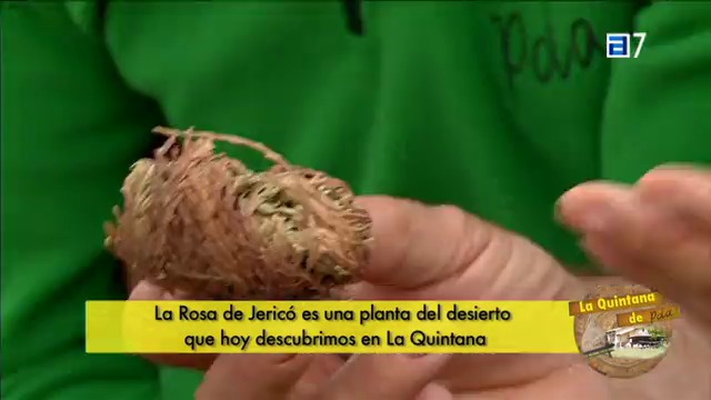 (Viernes, 12-06-2015)