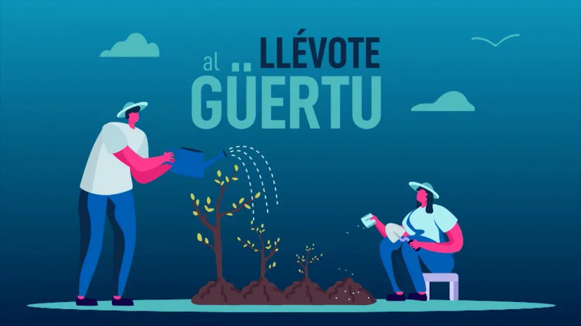 Plantamos kiwi (Lunes, 25-08-2025)