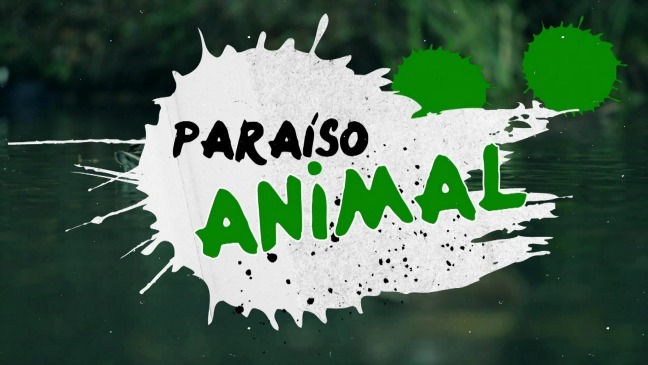 Paraíso animal (Lunes, 28-12-2015)