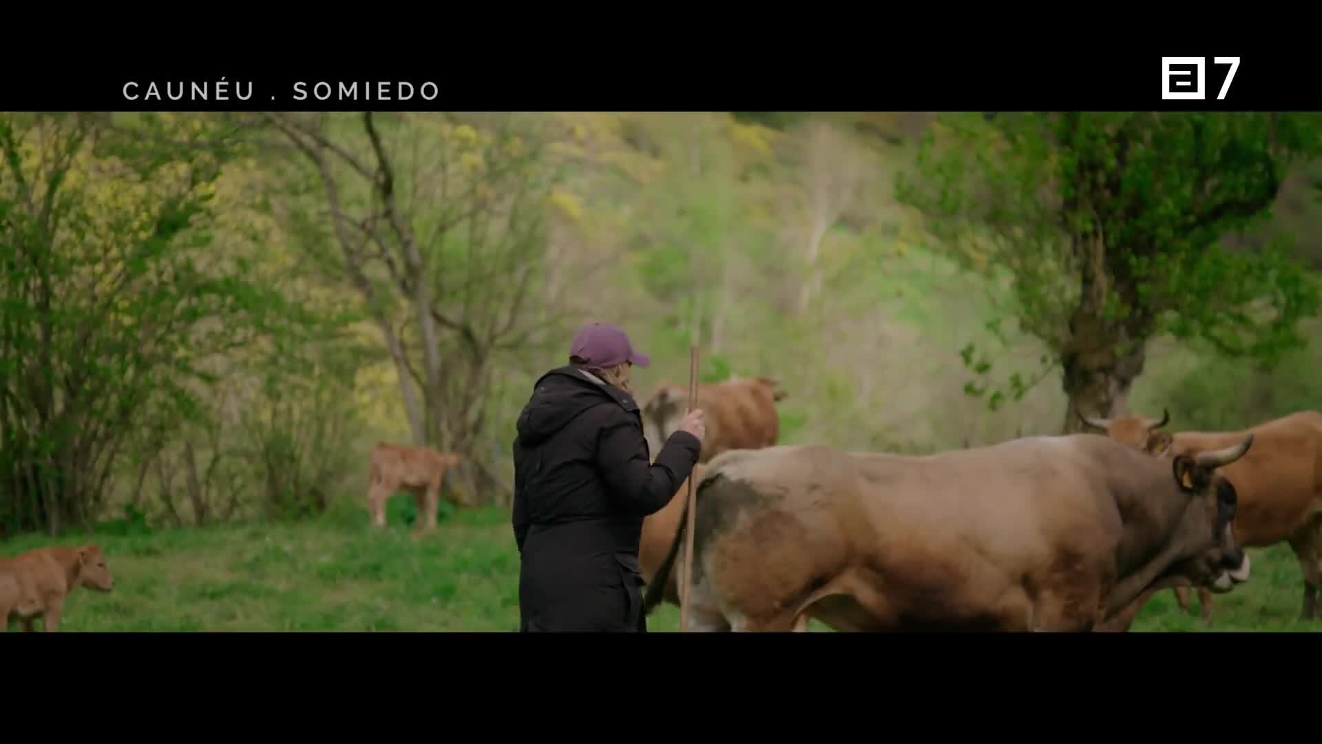 Caunéu (Lunes, 13-05-2024)