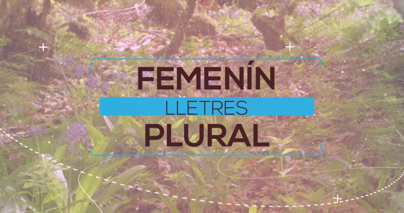 Lletres femenín plural (Paz García) (Lunes, 08-05-2017)