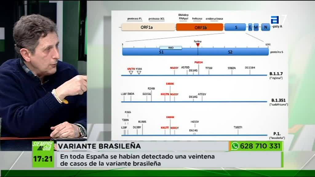 (Jueves, 25-03-2021)