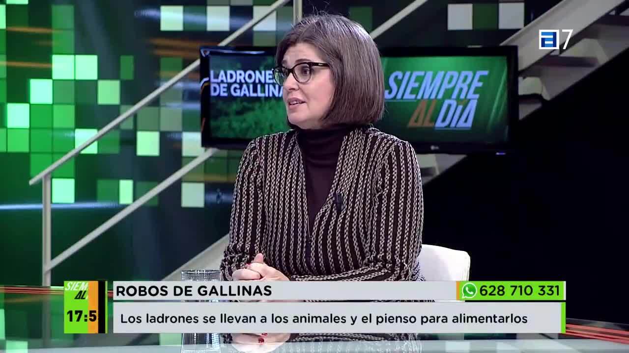 (Miércoles, 10-01-2024)