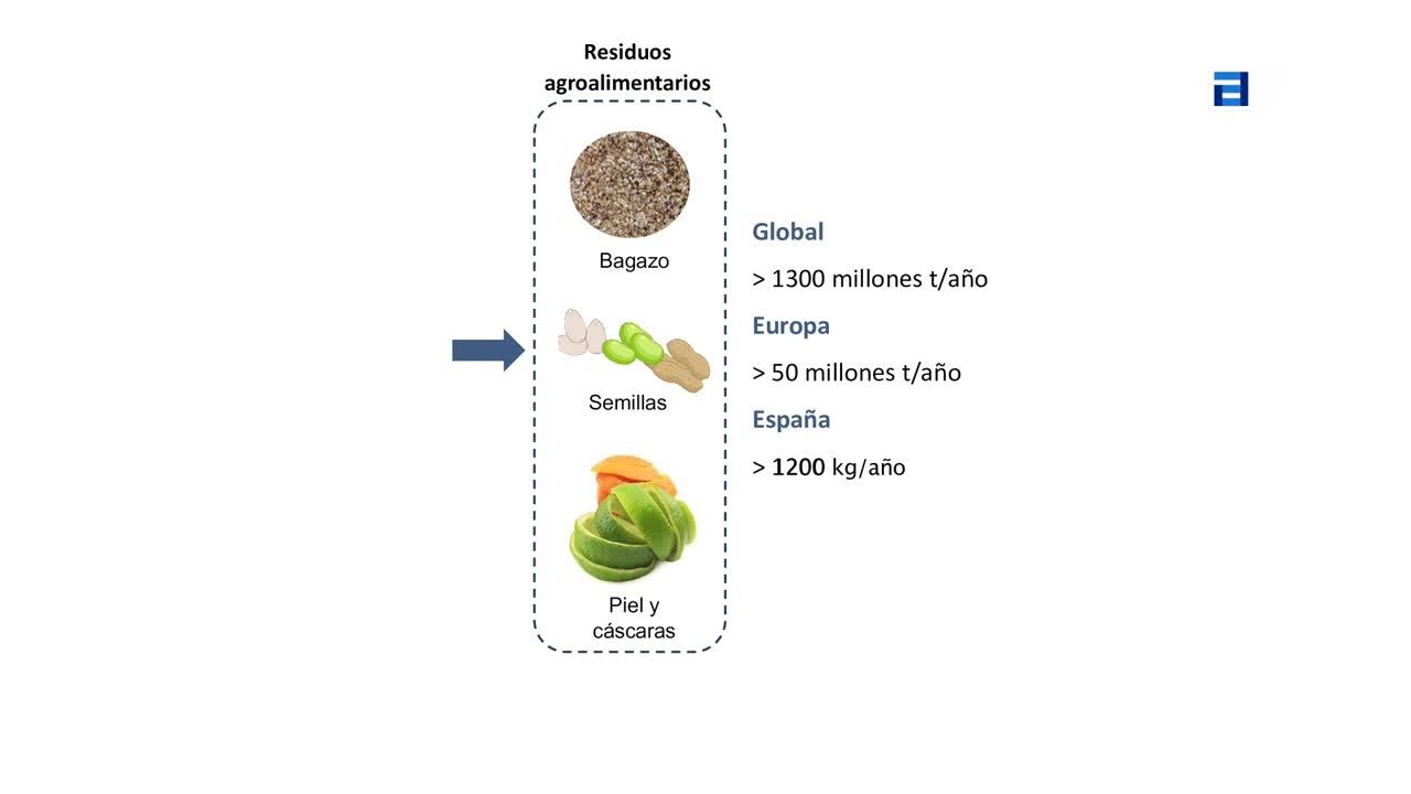 Aprovechamiento de residuos agroalimentarios. Tratamientos hidrolíticos y fermentativos (Sábado, 20-01-2024)