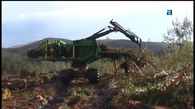 Estudio de la potencialidad del uso de la biomasa en Asturias: análisis SIG, rendimientos, costes y logística  (Sábado, 26-11-2016)