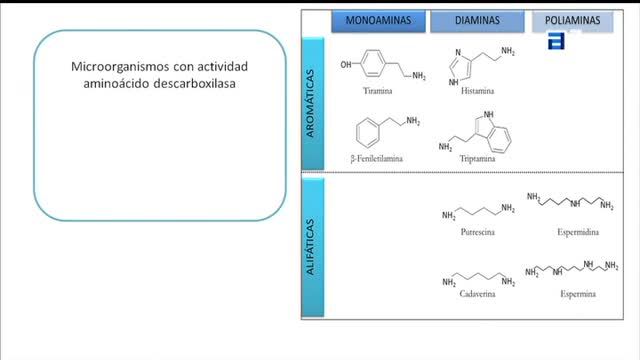 Identificación y caracterización de las bacterias responsables de la acumulación de histamina en queso   (Sábado, 01-04-2017)