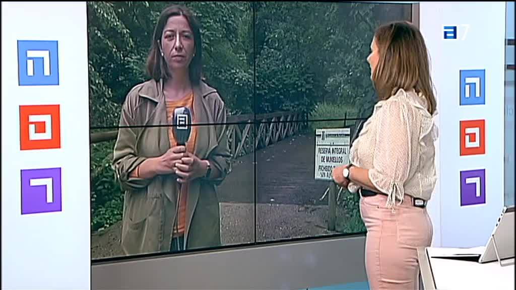 Amieva (Jueves, 04-06-2020)