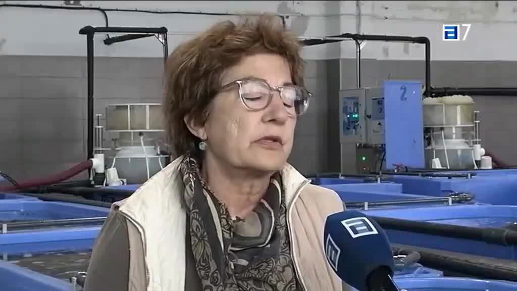 Asturias emprende en Oviedo (Lunes, 24-04-2023)