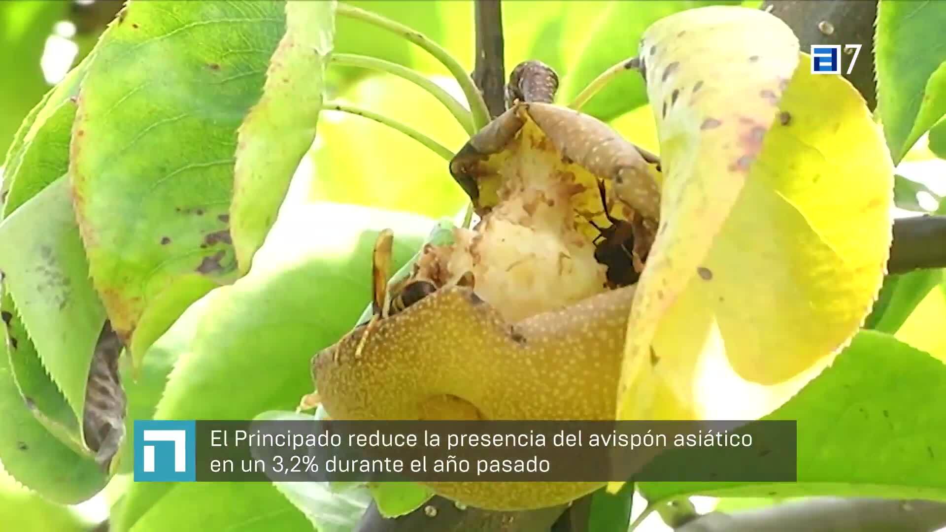 Asturias emprende en San Martín del Rey Aurelio (Lunes, 12-02-2024)