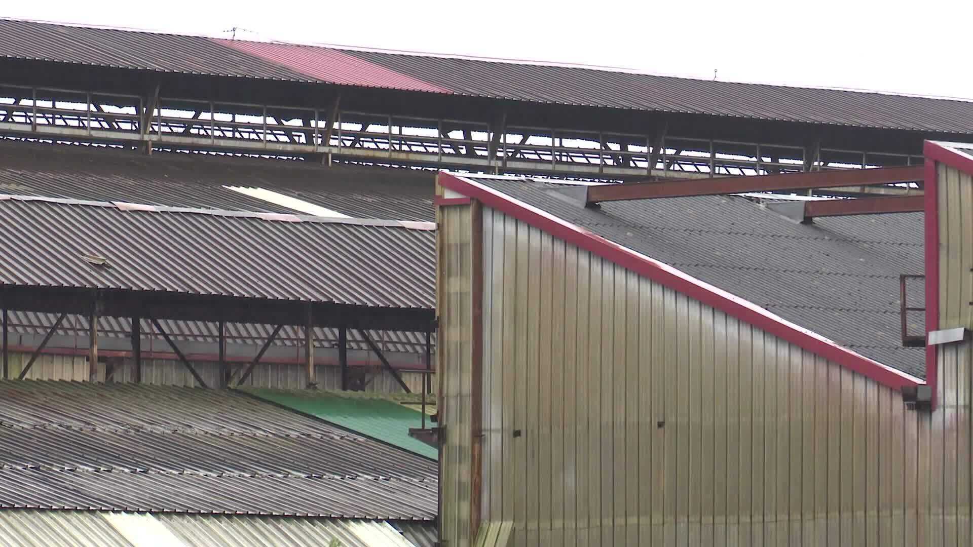 Asturias se mueve en Tineo (Miércoles, 02-10-2024)