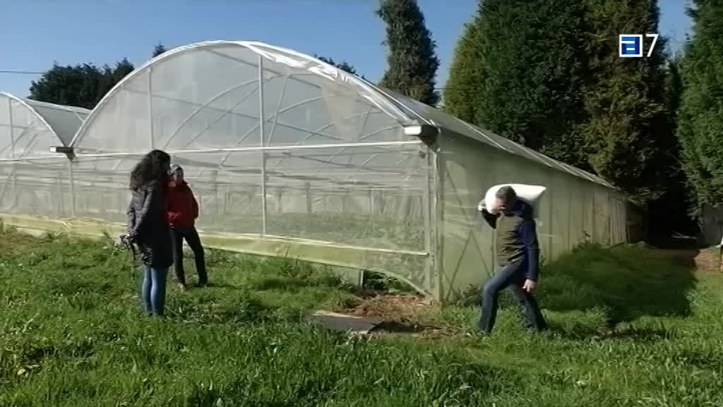 Edificios singulares en Carreño (Martes, 05-04-2022)